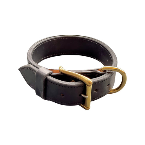A black leather collar with a gold-tone brass buckle and D-ring. 